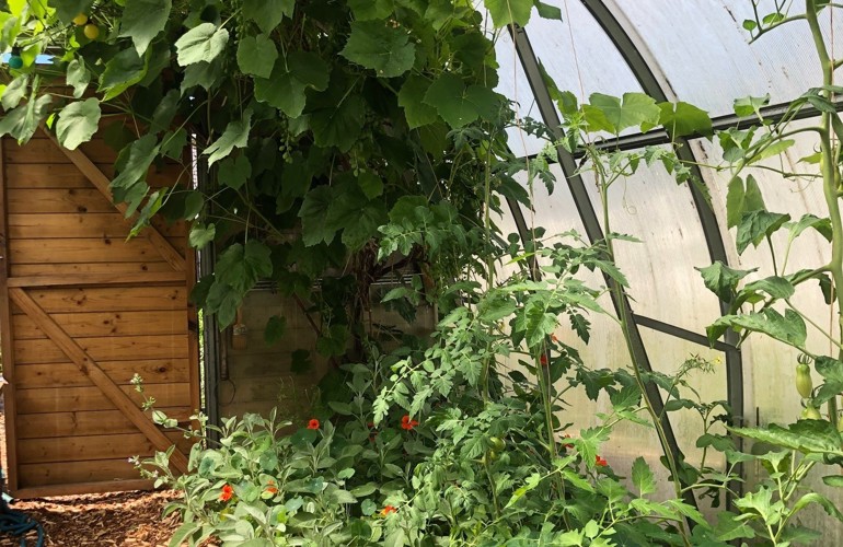 DYRK Drivhus Pilekompost