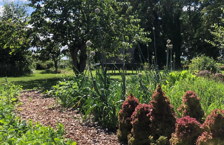 315056872 640172950863792 1640840861935143174 N