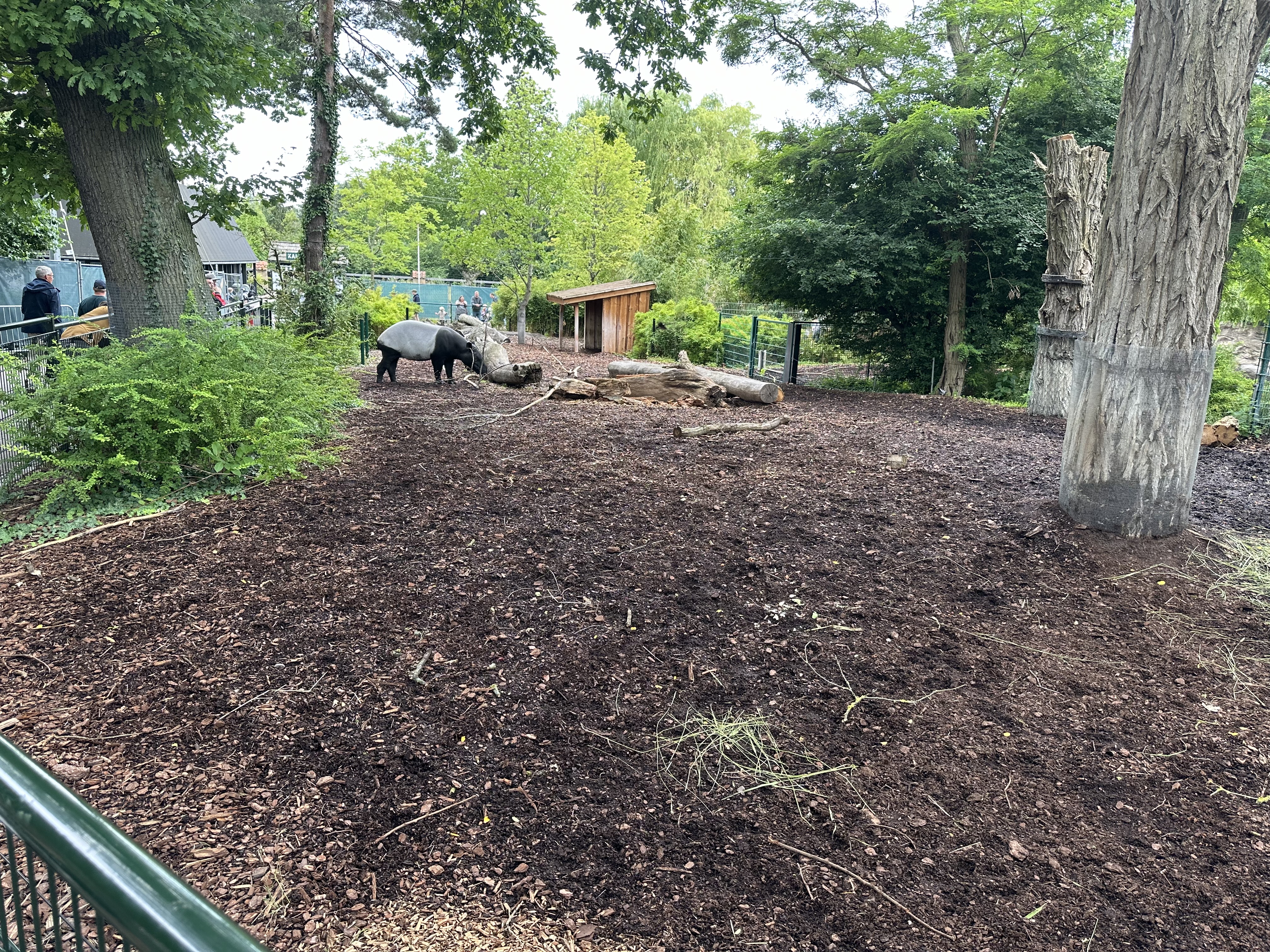 Tapir Anlæg Biobed Ny Vraa