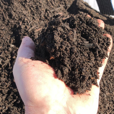 Struktur Af Pilekompost I Hånd