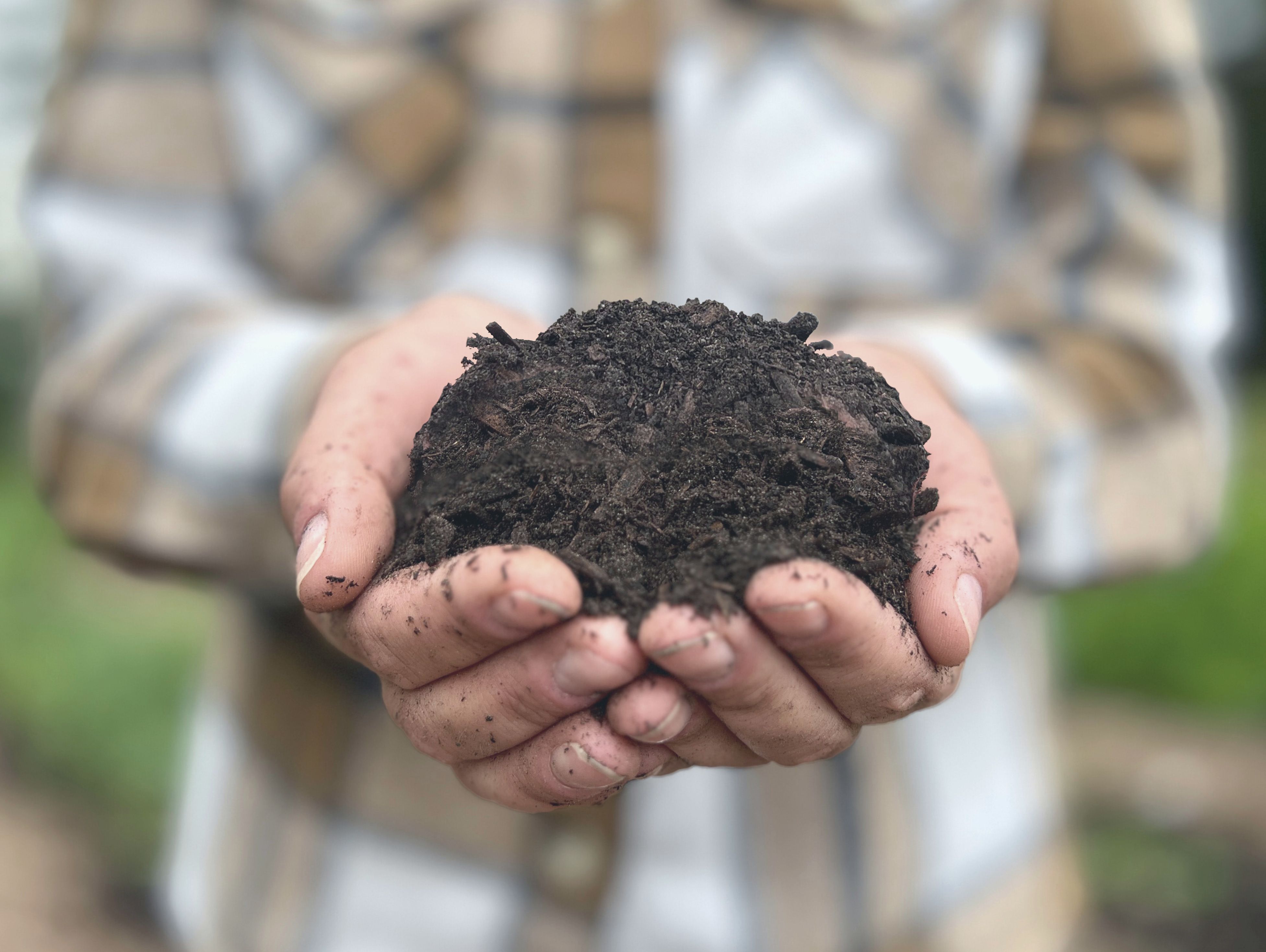 Pilekompost I Hænder