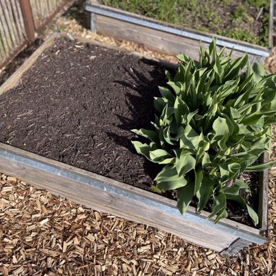 Nordic Willow NO DIG Pileflis Hoejbed Pilekompost Kopi