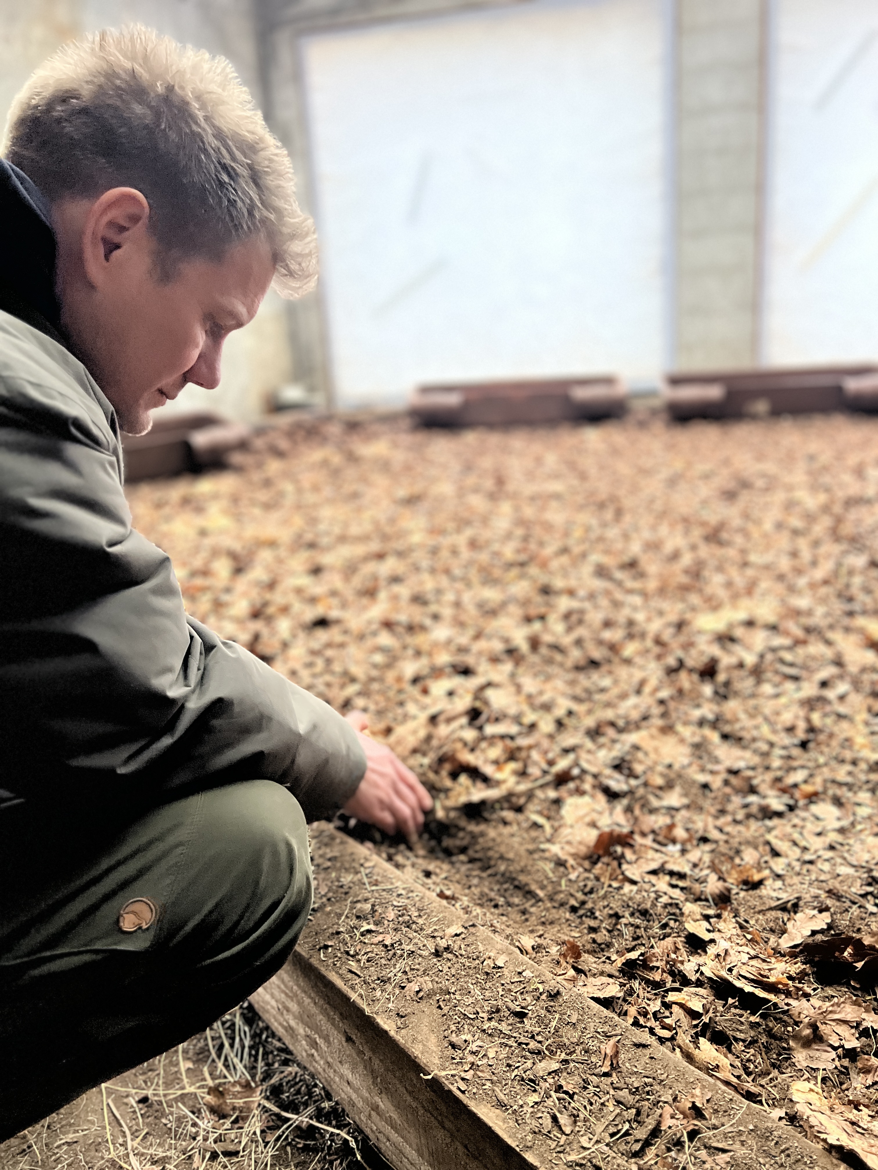 NY VRAA Biobed Bioactive Bedding