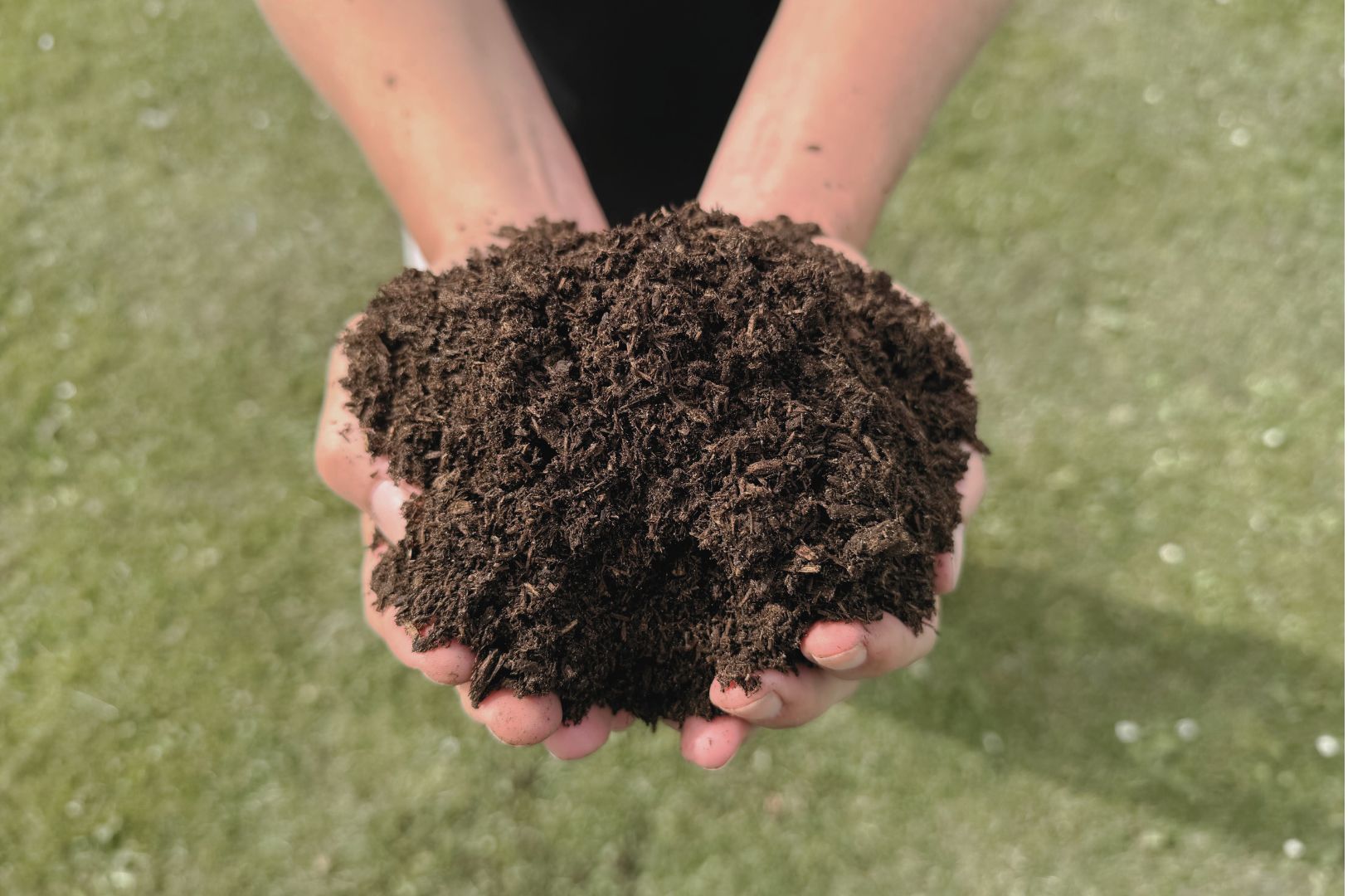 BIOBED HORSE I Hånd Nordic Willow 2