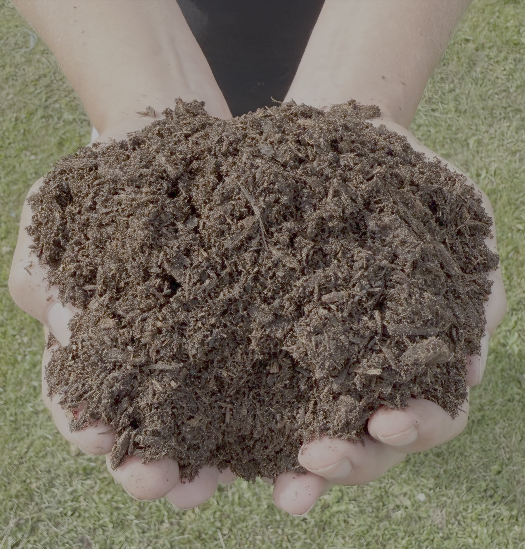 Biobed Horse I Hånd Kopi