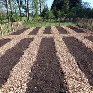 No Dig Have Køkkenhave Nordic Willow