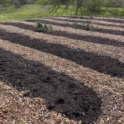 DYRK Pilekompost No Dig