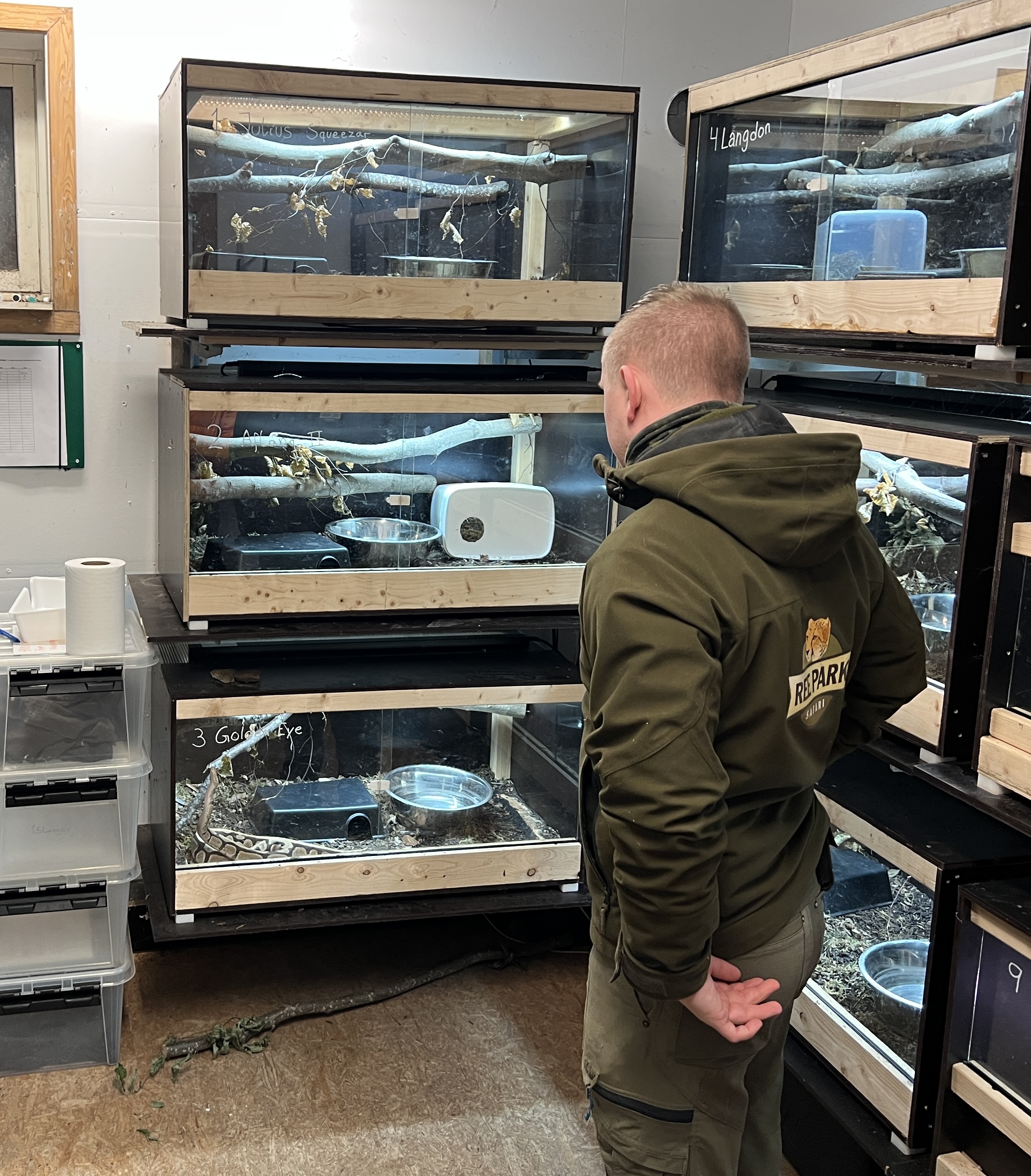 Snakes On BIOBED REE PARK