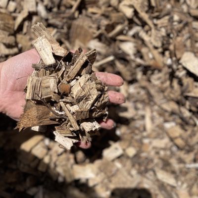 Pileflis NO DIG Køkkenhave NORDIV WILLOW