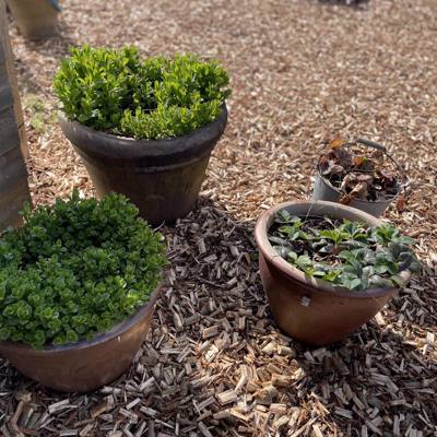 Nordic Willow NO DIG Flis Pileflis Ved Potter Pilekompost Kopi