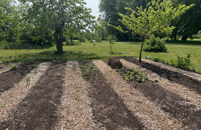 Nordic Willow Køkkenhave