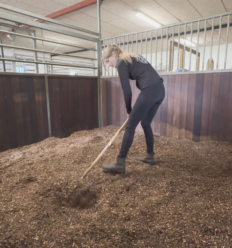 Guide Nordic Willow Horse BIOBED2