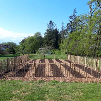 Nordic Willow No Dig