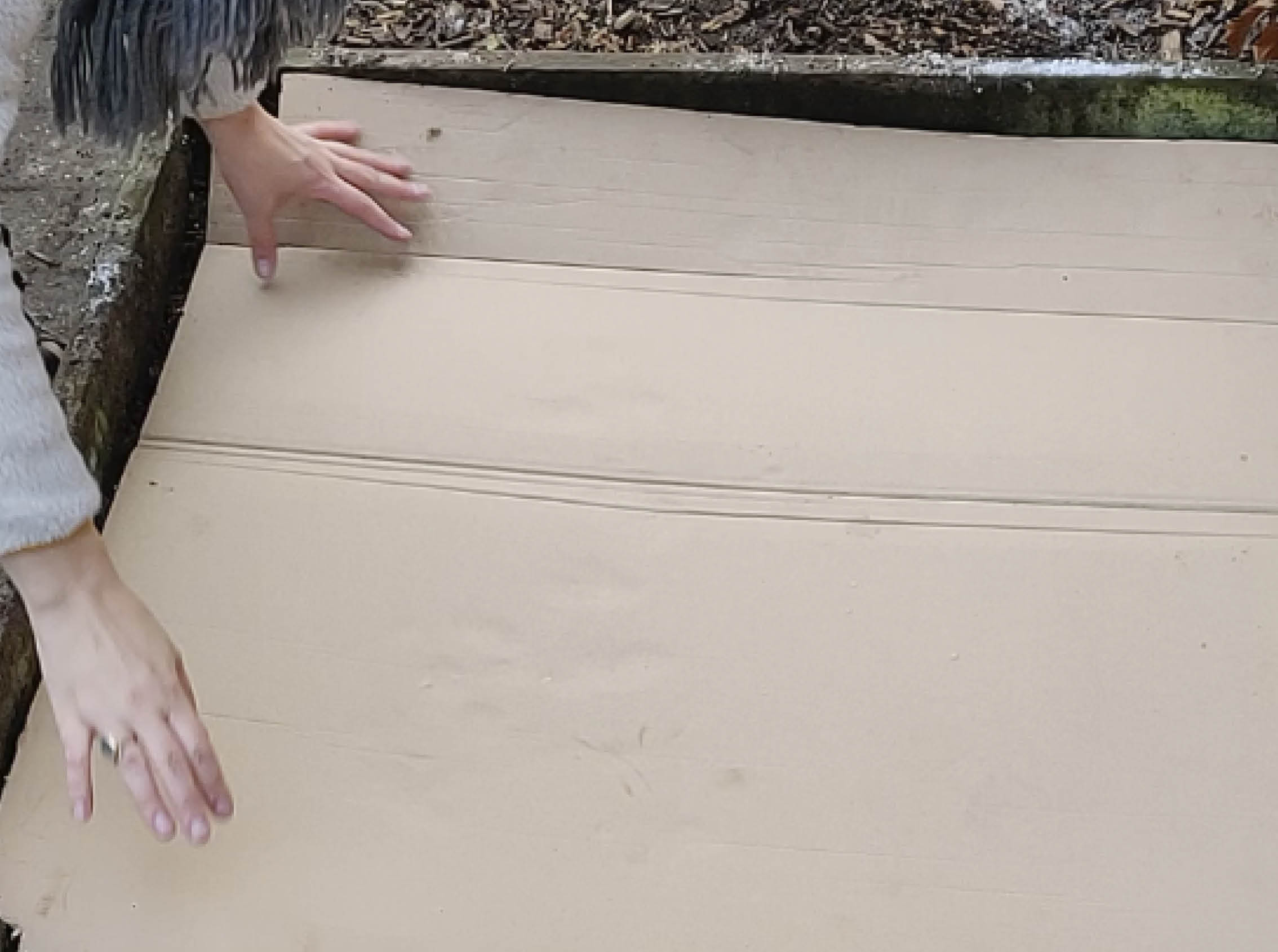 No Dig Pap Nordic Willow